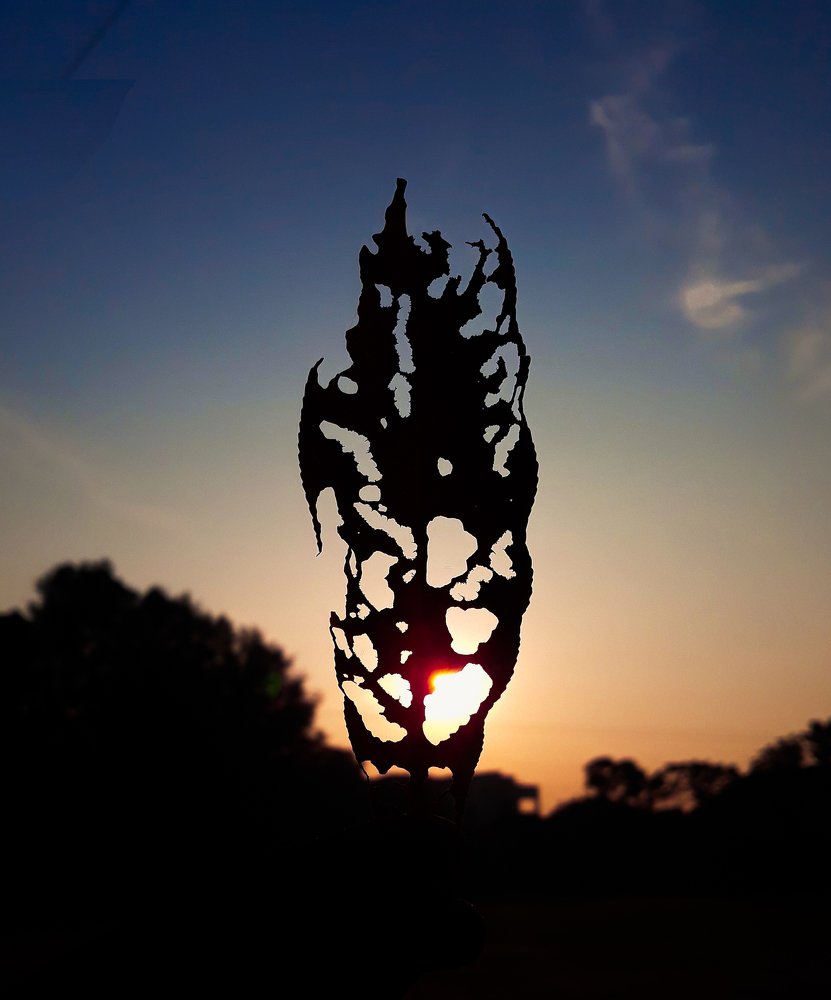 Photograph by Muhaiminul Islam Munaj Kazi