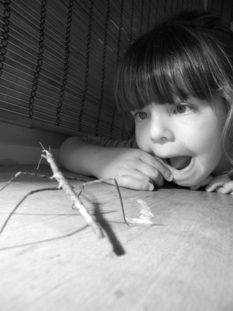 Photograph by Marija Milosavljevic