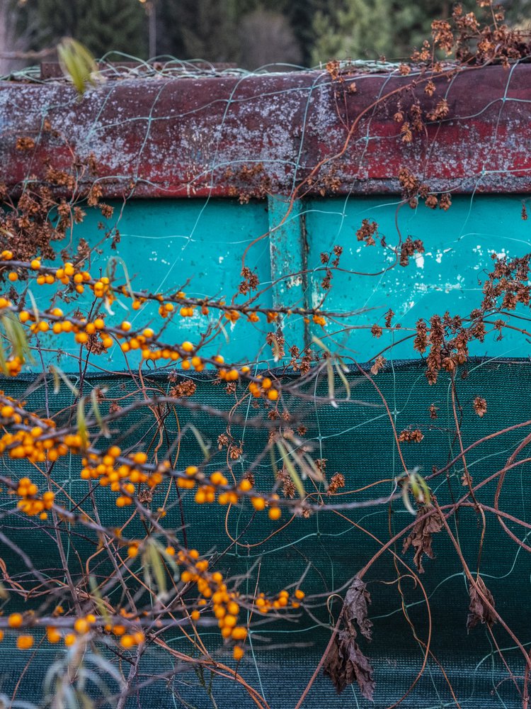 Photograph by Александр Козленков