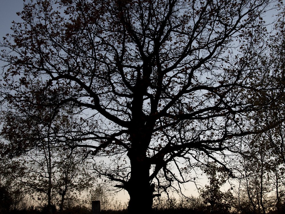 Photograph by Александр Козленков