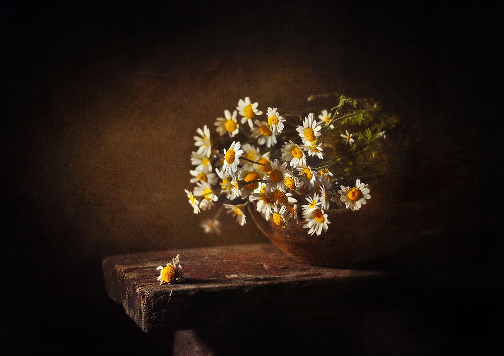 Photograph by Инна Буглак