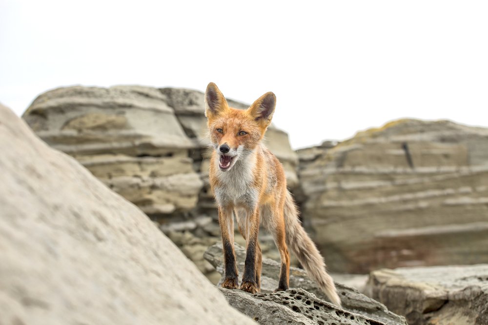 Photograph by Амина Мухаматинова