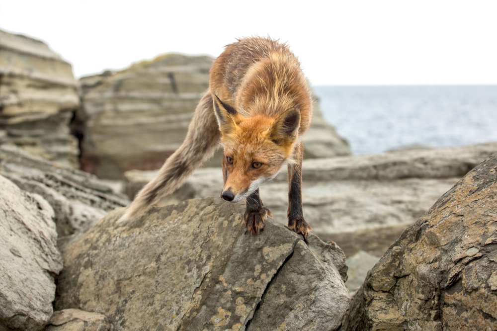 Photograph by Амина Мухаматинова