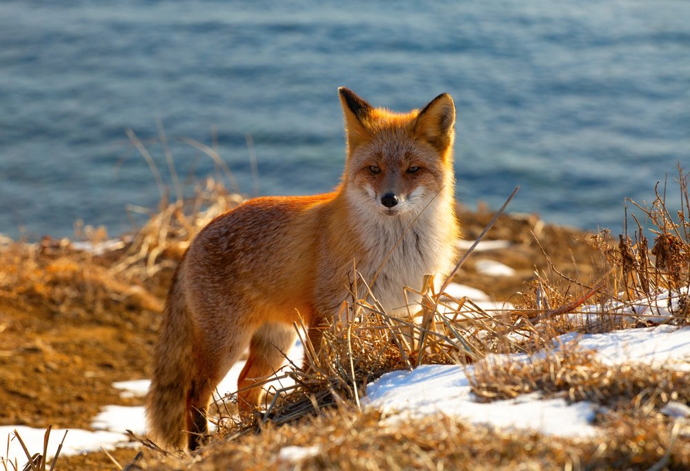 Photograph by Амина Мухаматинова