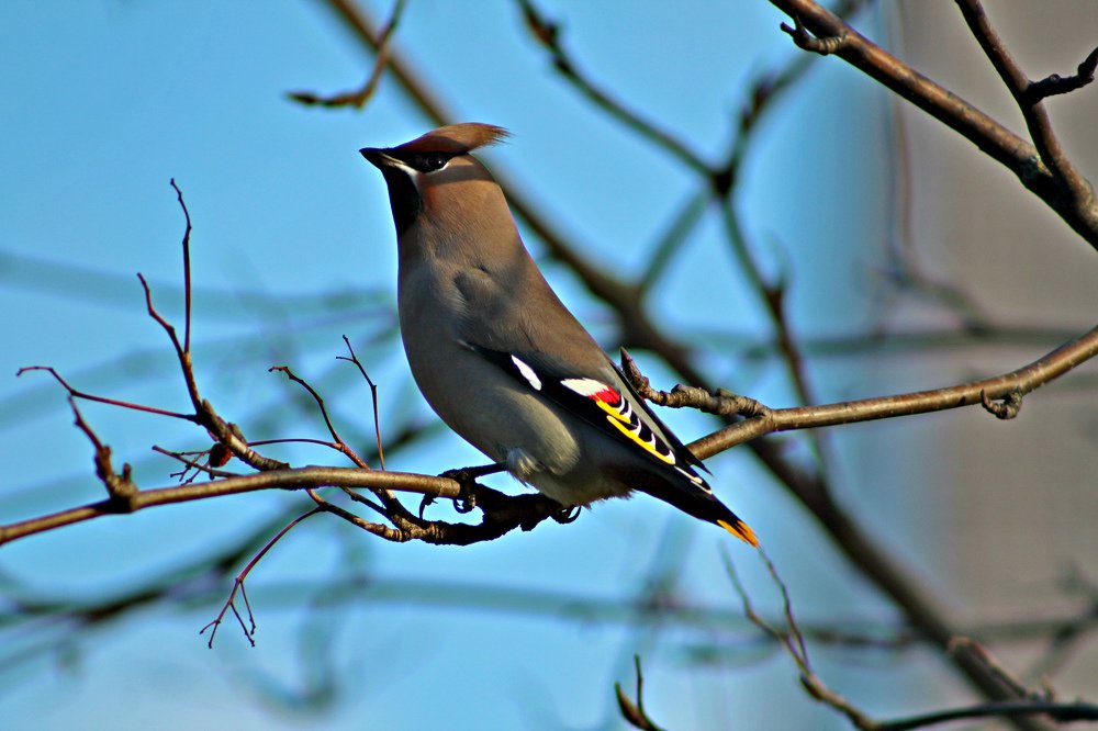 Photograph by Galina Tsmyg