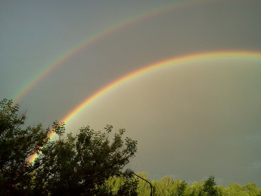 Photograph by Мария Кирпа