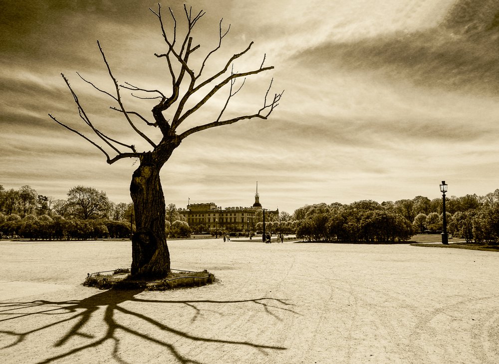 Фотография автора Евгений Кузнецов