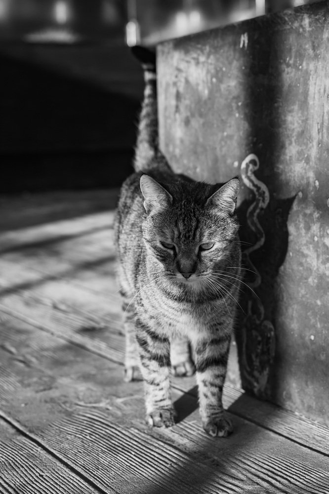 Photograph by Mariia Ivanova