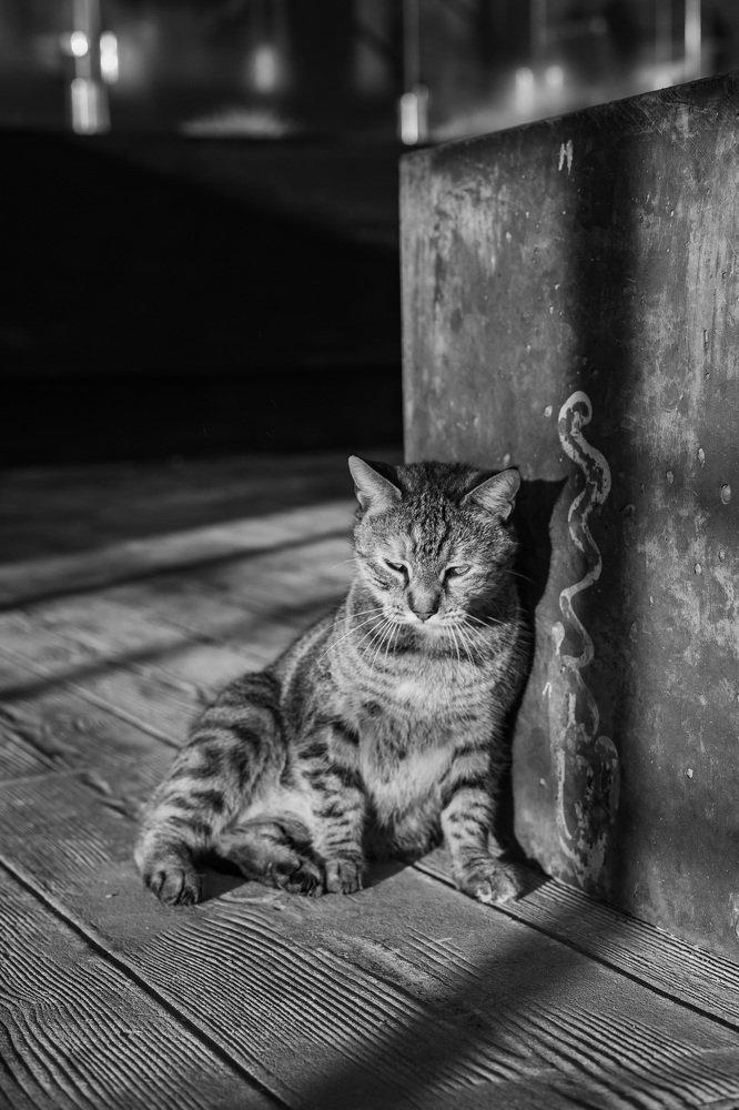 Photograph by Mariia Ivanova