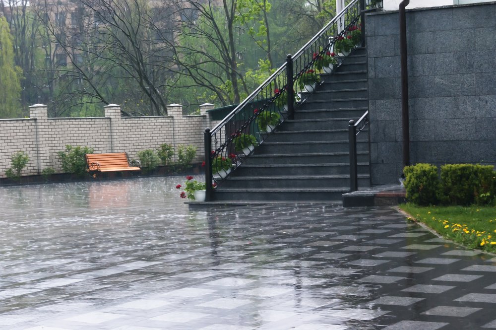 Spring rain in the city