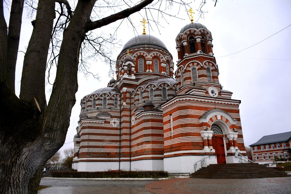 Фотография автора Елена Бракоренко