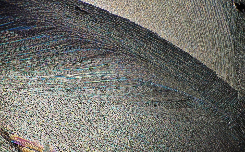 Белое вино под микроскопом