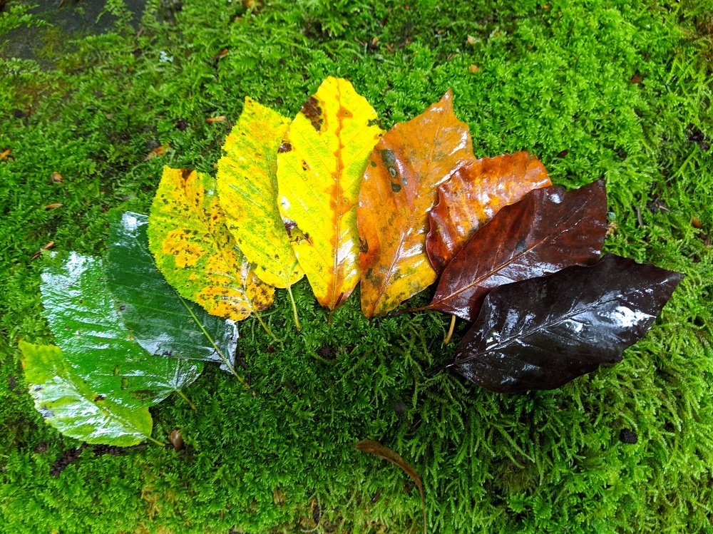 Жизнь ради жизни