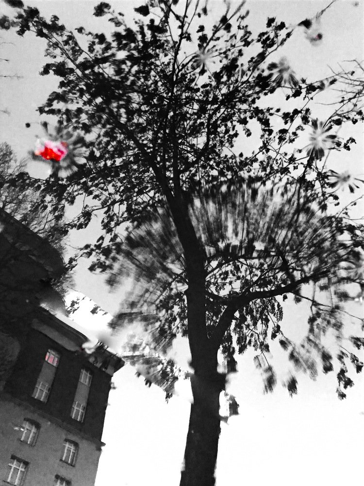 Фотография автора Климентий