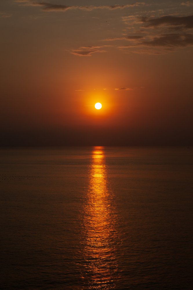 Photograph by Маша Коваленко