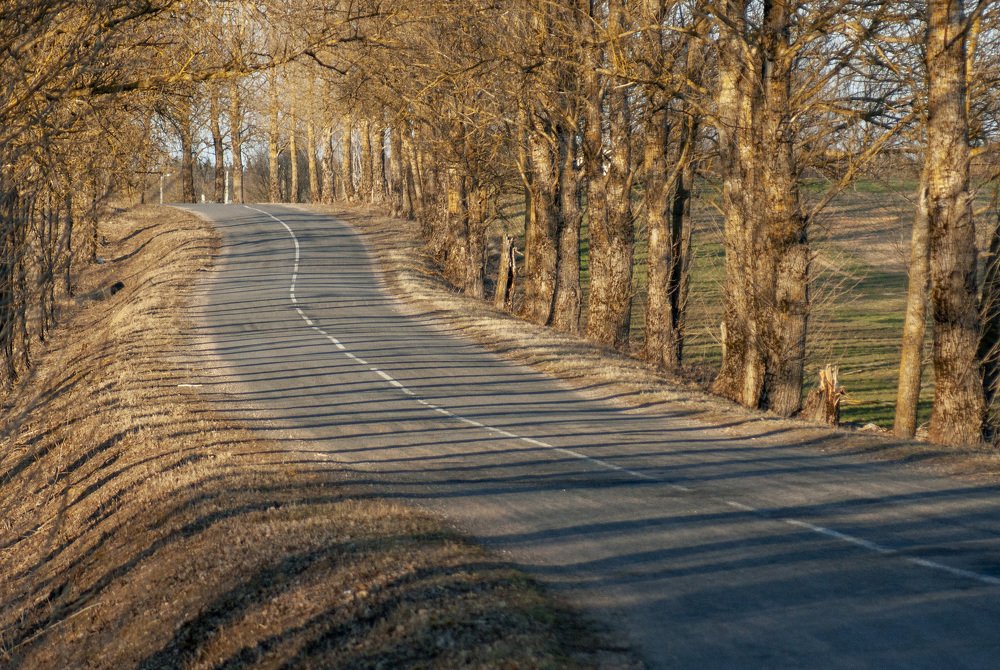 Photograph by Ольга Буракова