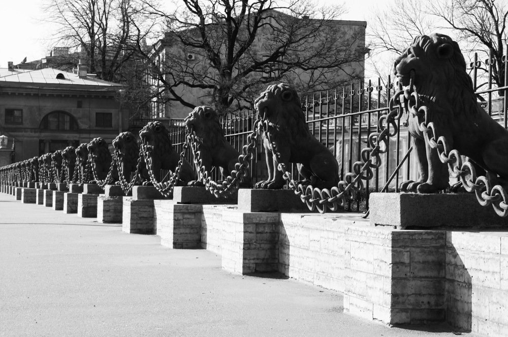 Photograph by Евгений Устинов