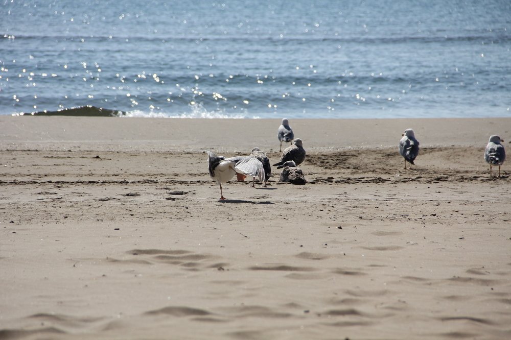 Photograph by Ольга Кузнецова