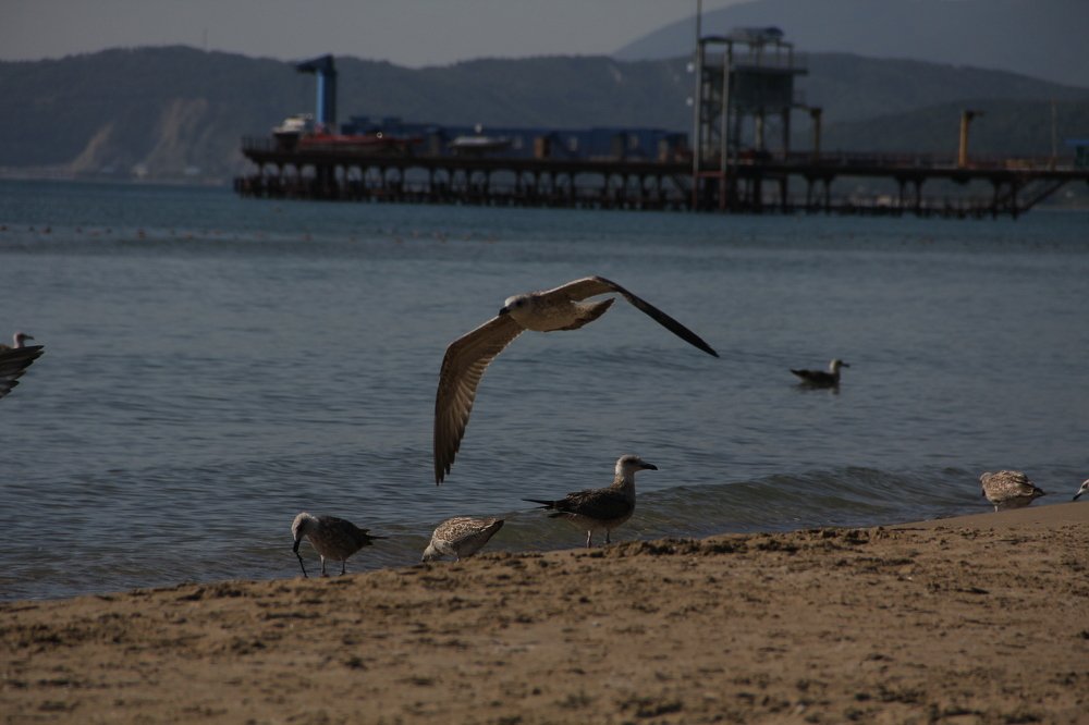 Photograph by Ольга Кузнецова