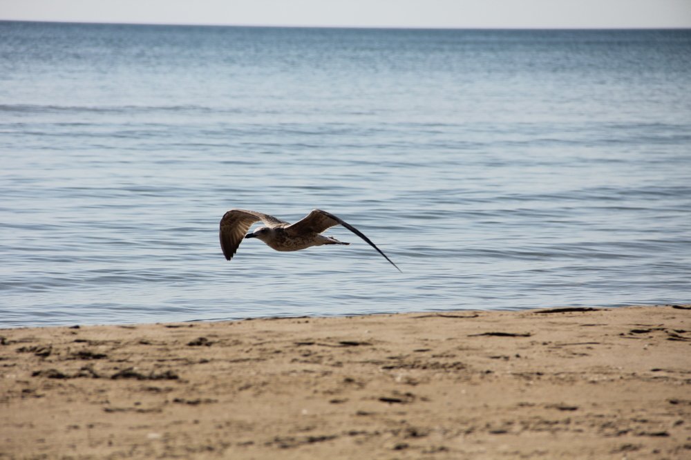 Photograph by Ольга Кузнецова