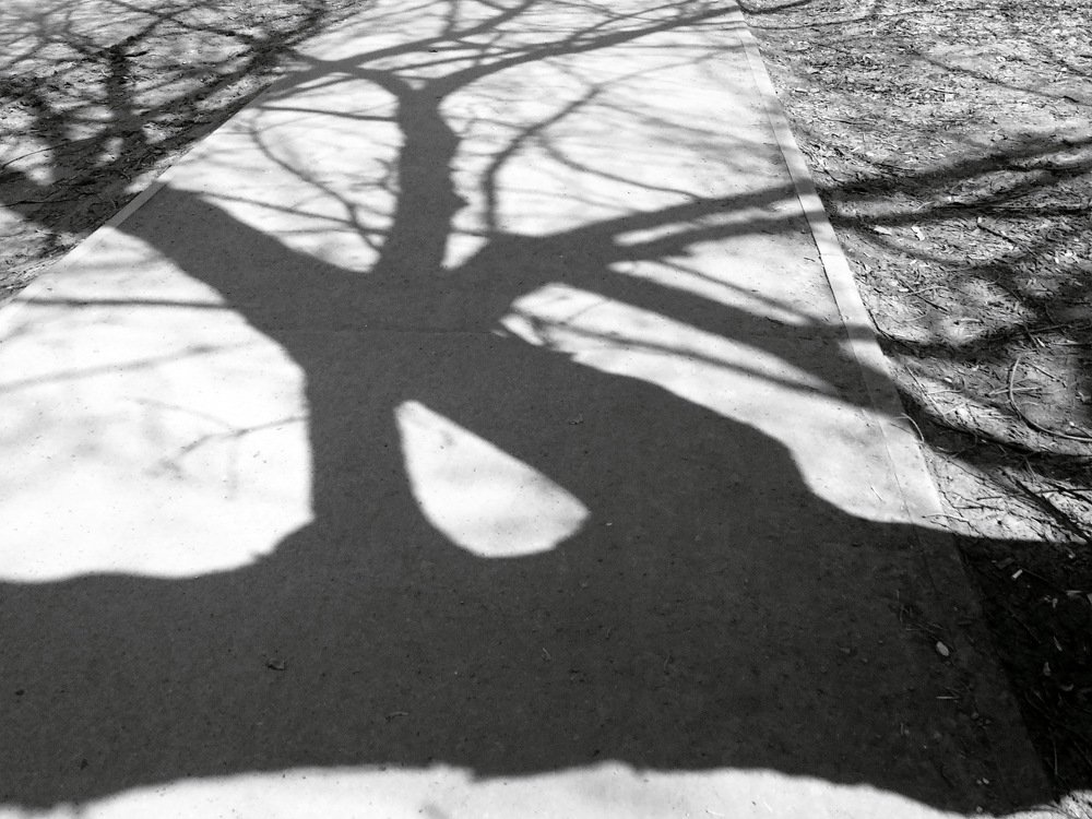 Налево пойдешь - ....