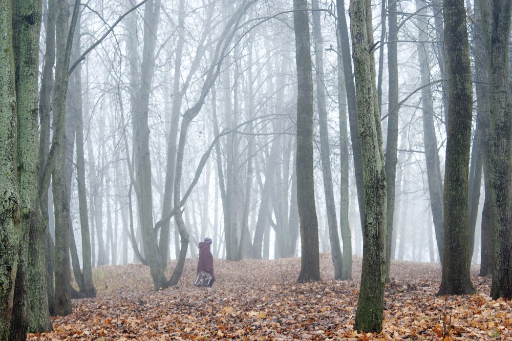 Photograph by Ольга Буракова