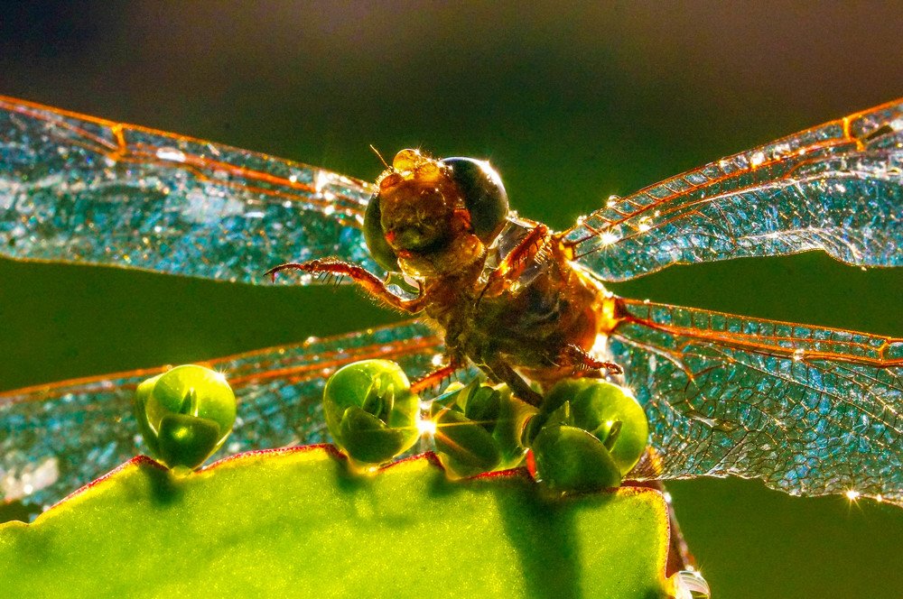 Photograph by Karina Elena Bergagna