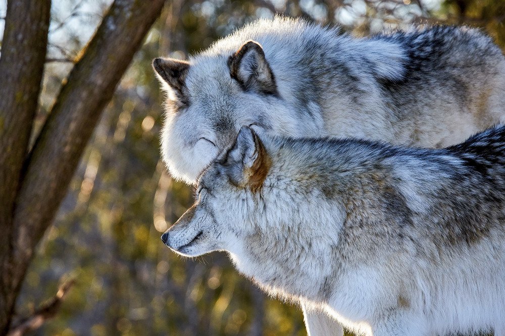 Photograph by Natalia Ghimp