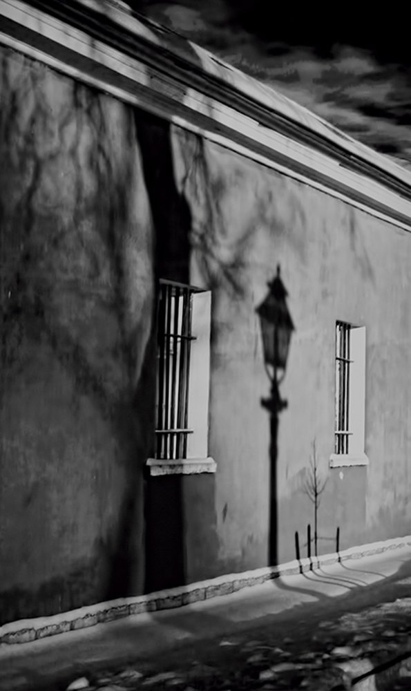 фонарь и дерево