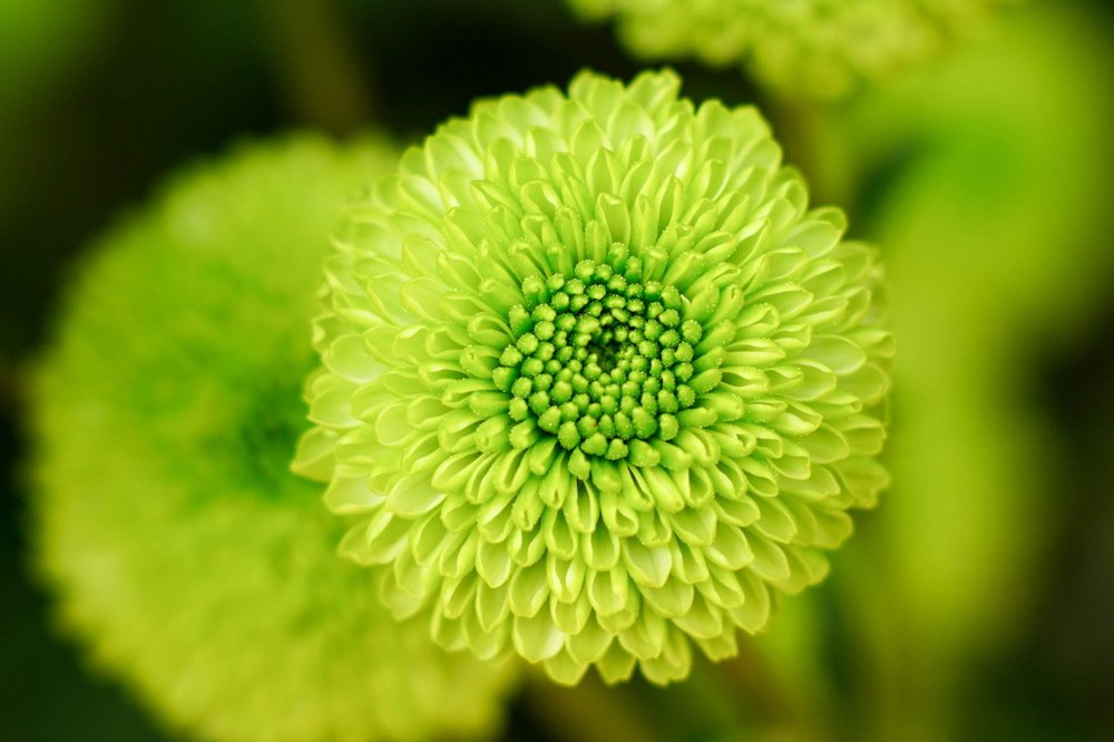 Photograph by Turcu Ovidiu Gabriel