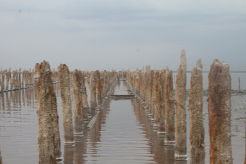 Photograph by ALEKSEI BABANIN