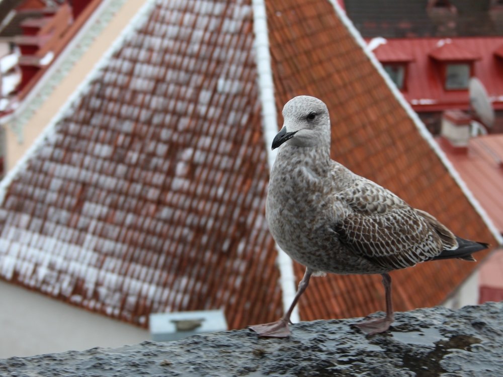 Photograph by Валентина