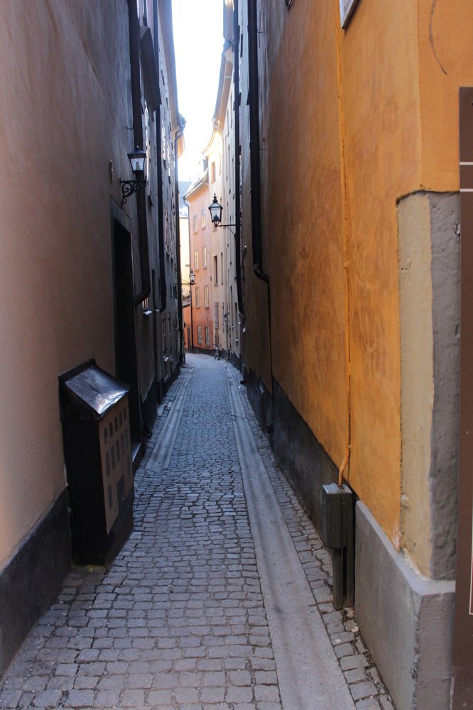 Photograph by Валентина