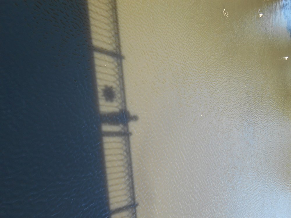 Фотография автора Настя Каляндра