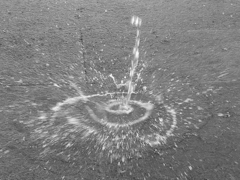 Фотография автора Настя Каляндра