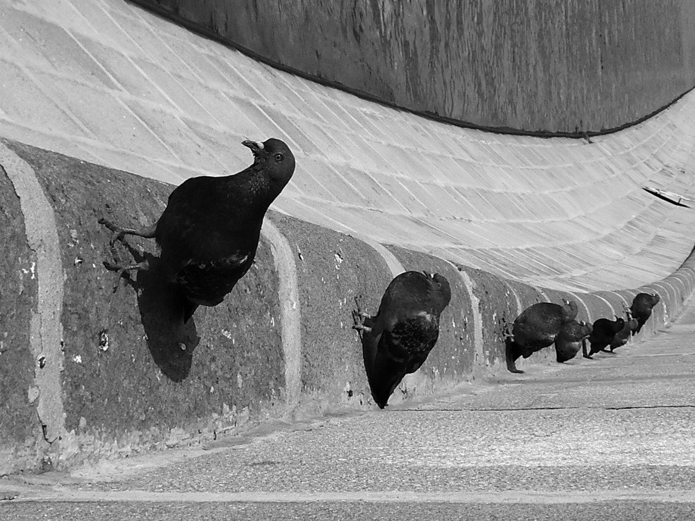 Фотография автора Настя Каляндра