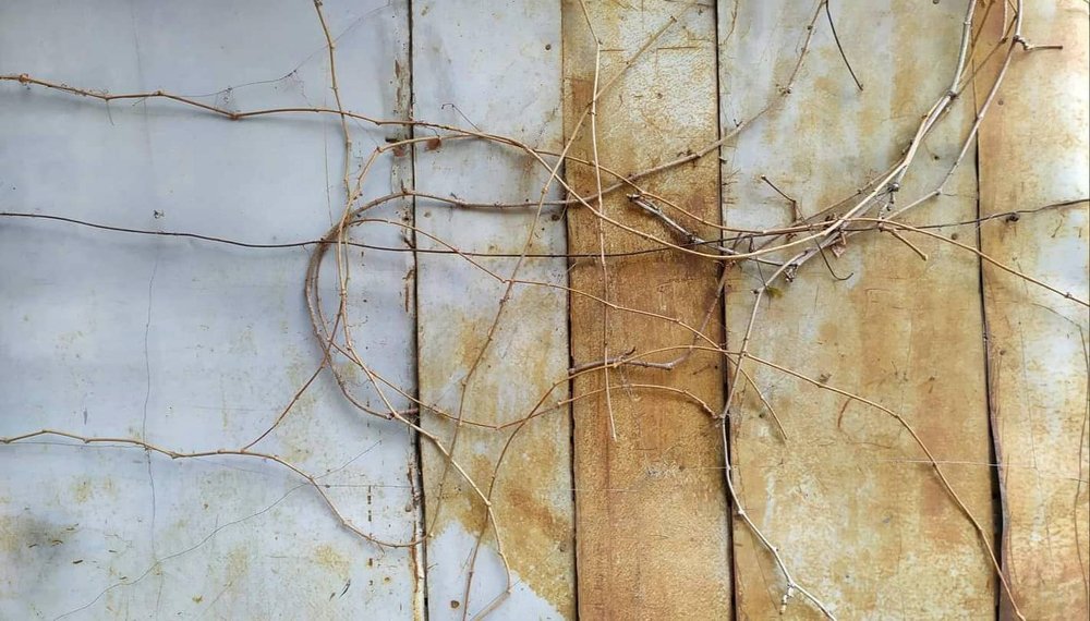 Photograph by Марина Рафаелян