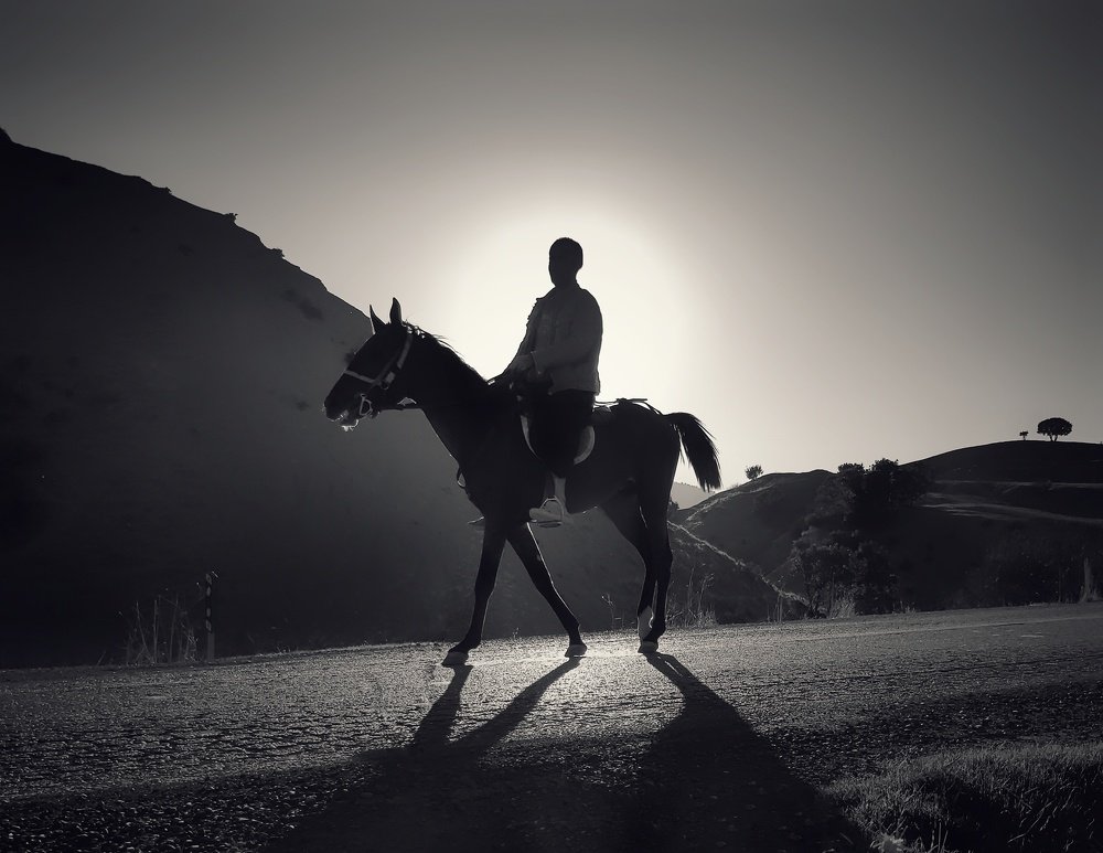 Photograph by Yahya Kakapour