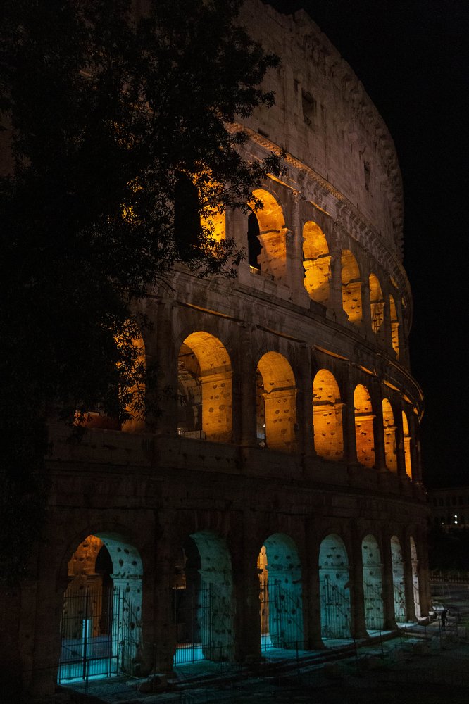 Photograph by Ирина Кононова