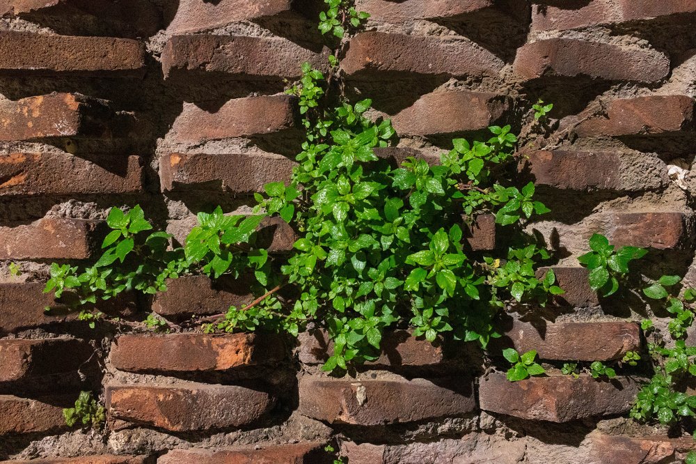 Photograph by Ирина Кононова