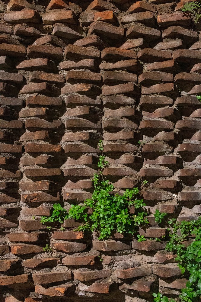 кирпичная жизнь