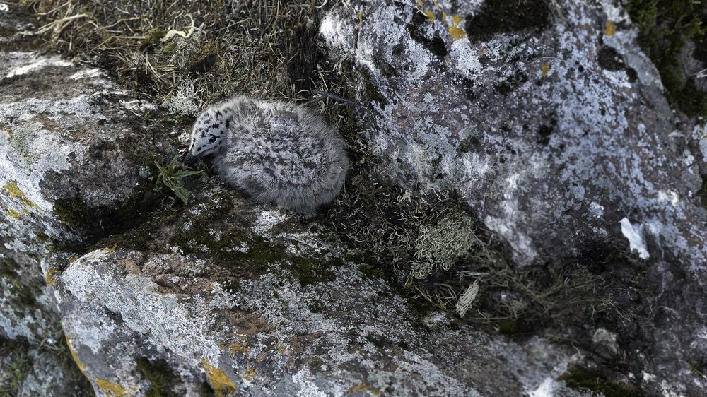 Photograph by Евгений Перминов