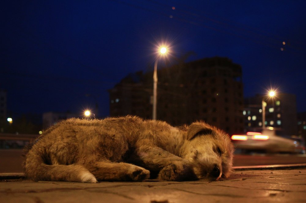 Photograph by Илья Мячин