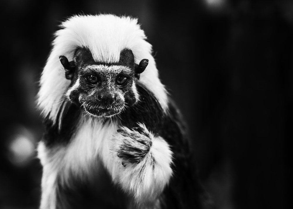 Photograph by Mikhail Sozonov