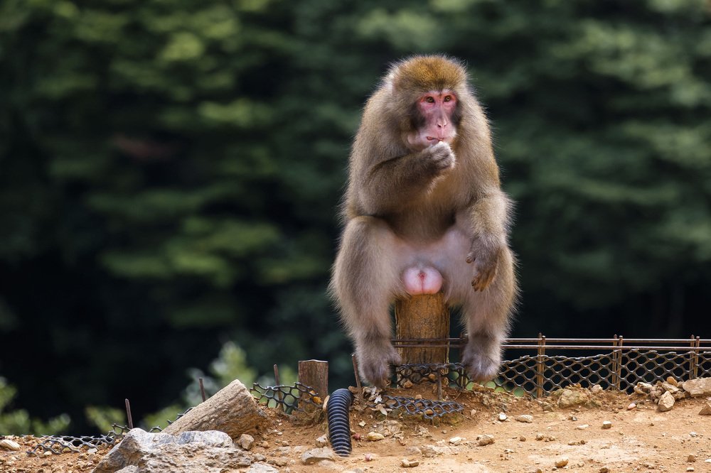 Photograph by Mikhail Sozonov