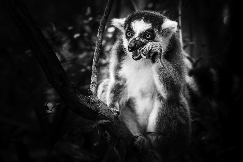 Photograph by Mikhail Sozonov