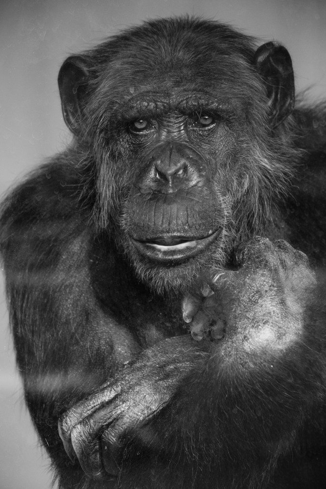 Photograph by Mikhail Sozonov