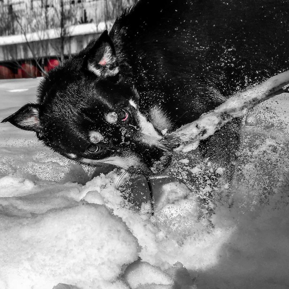 Photograph by Владимир Новожилов