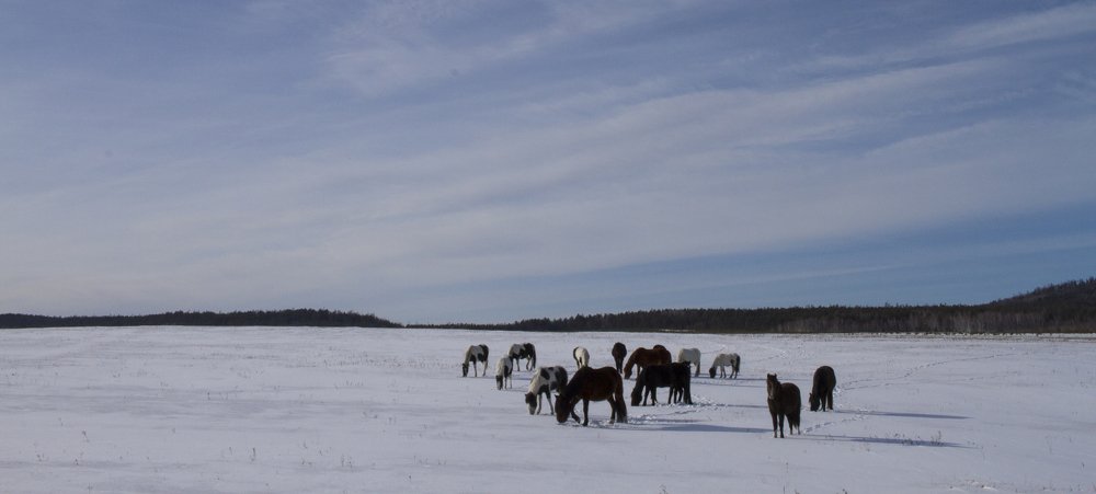 Photograph by Илья Мячин