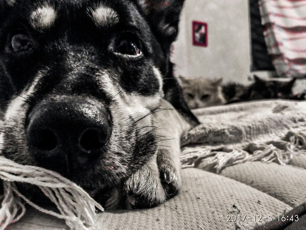 Photograph by Владимир Новожилов